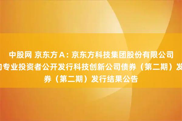 中股网 京东方Ａ: 京东方科技集团股份有限公司2025年面向专业投资者公开发行科技创新公司债券（第二期）发行结果公告