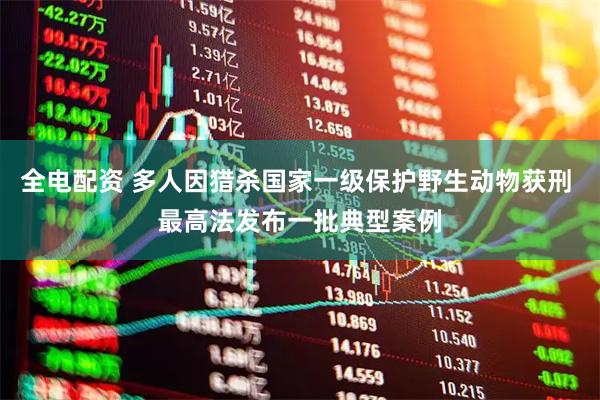 全电配资 多人因猎杀国家一级保护野生动物获刑 最高法发布一批典型案例